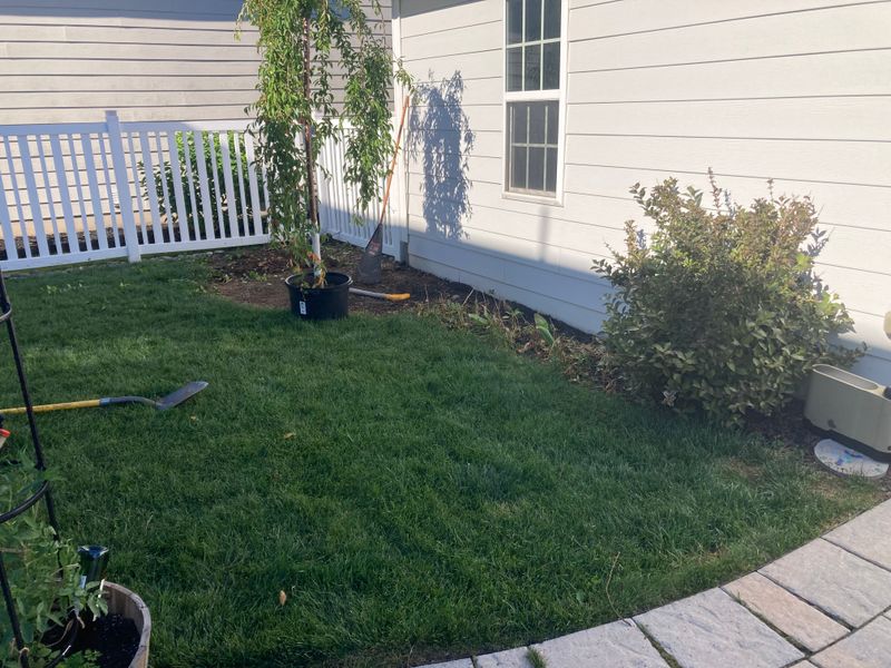 Garden Designs