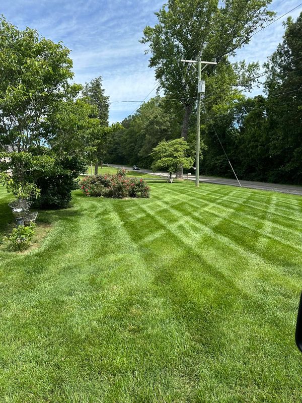 Garden Designs
