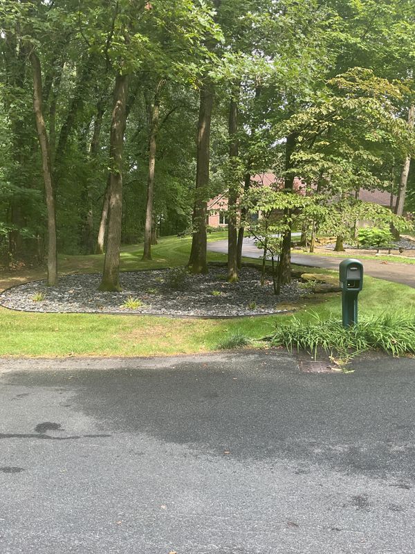 New Landscape Beds