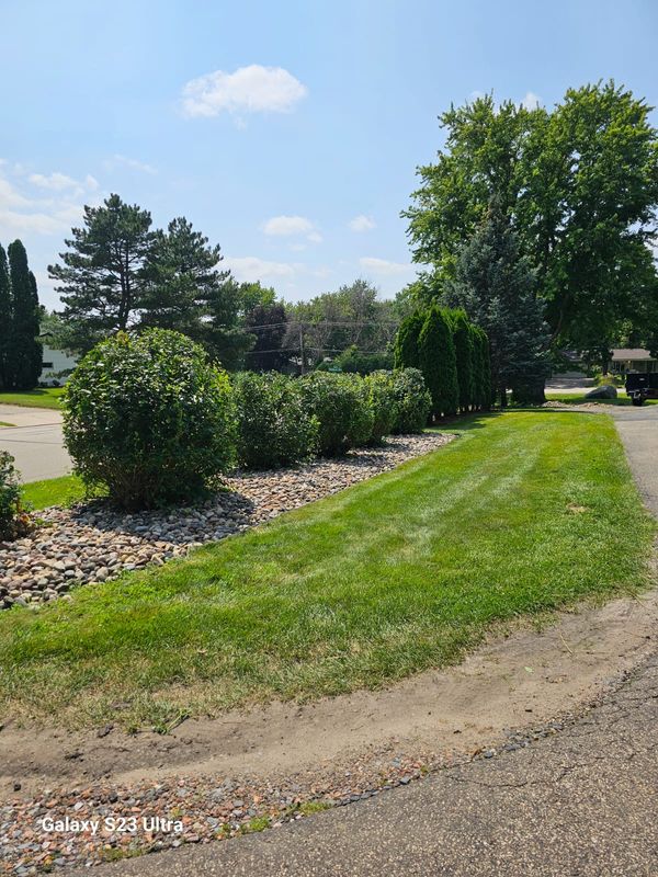 Hedge trimming 