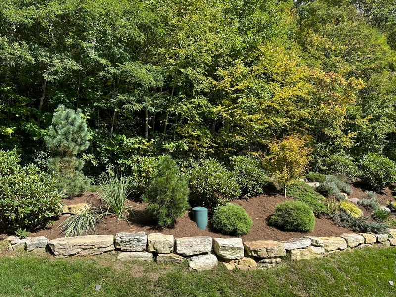 Landscaping 