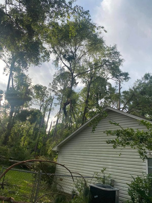 Emergency Tree Services