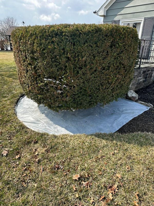 Landscape design