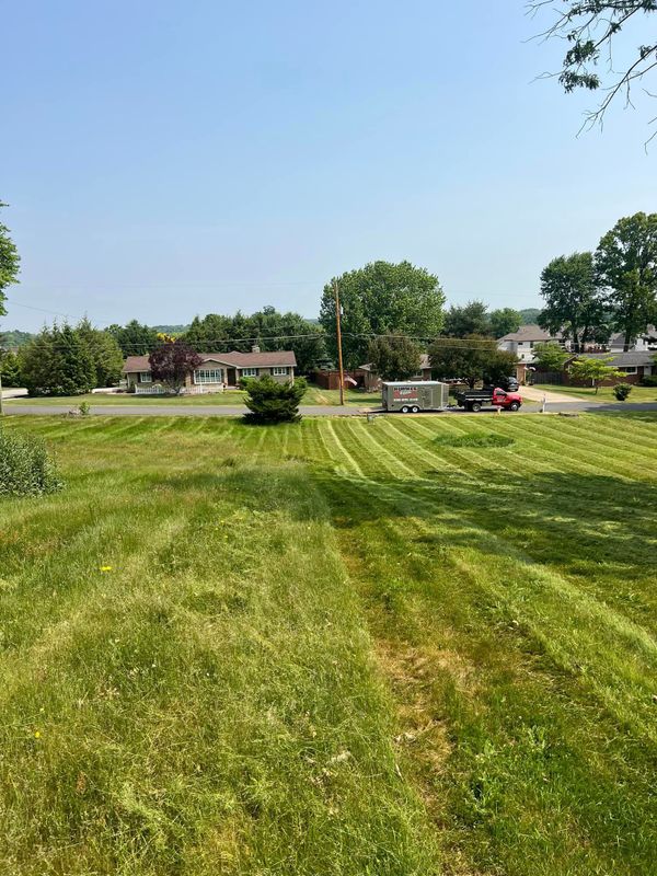 Lawn Care gallery
