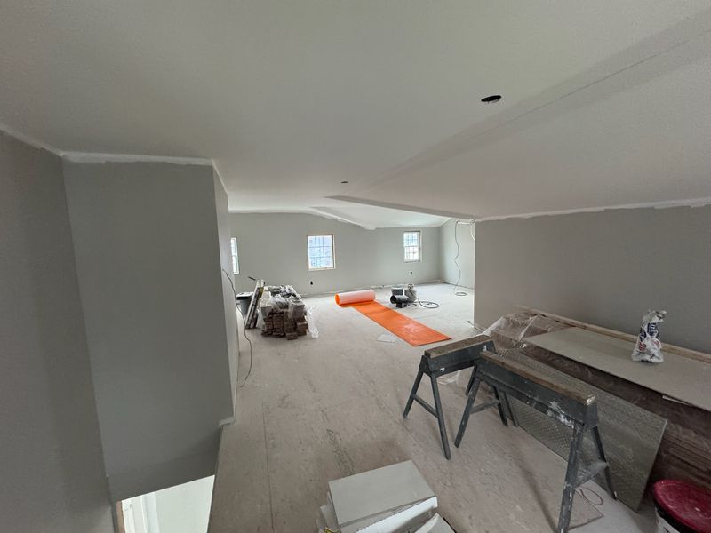 Basement Project
