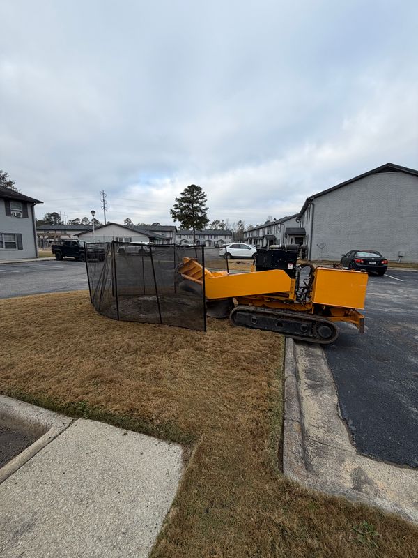 Stump Excavation