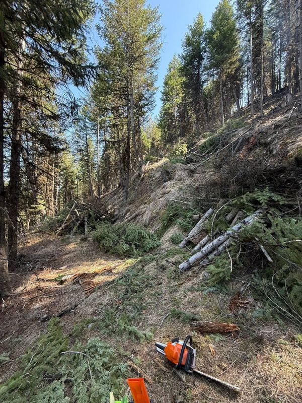 Land Clearing