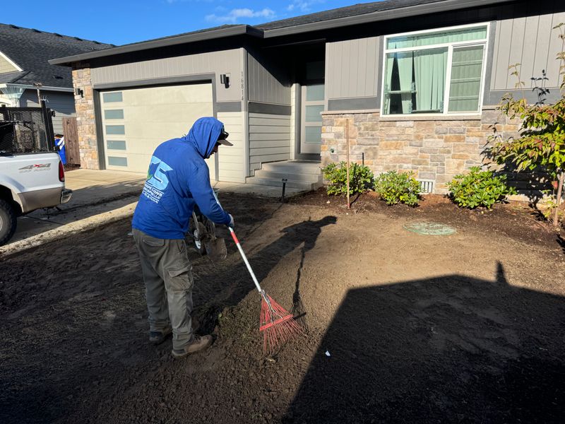 Lawn Aeration