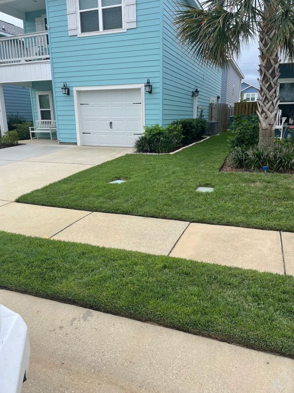 Landscape Maintenance