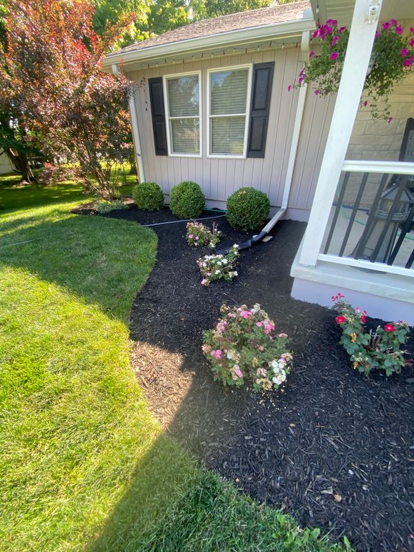 Mulch Installation