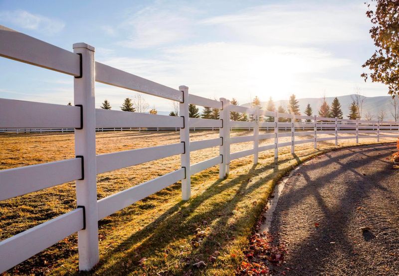Fencing Repair & Installation