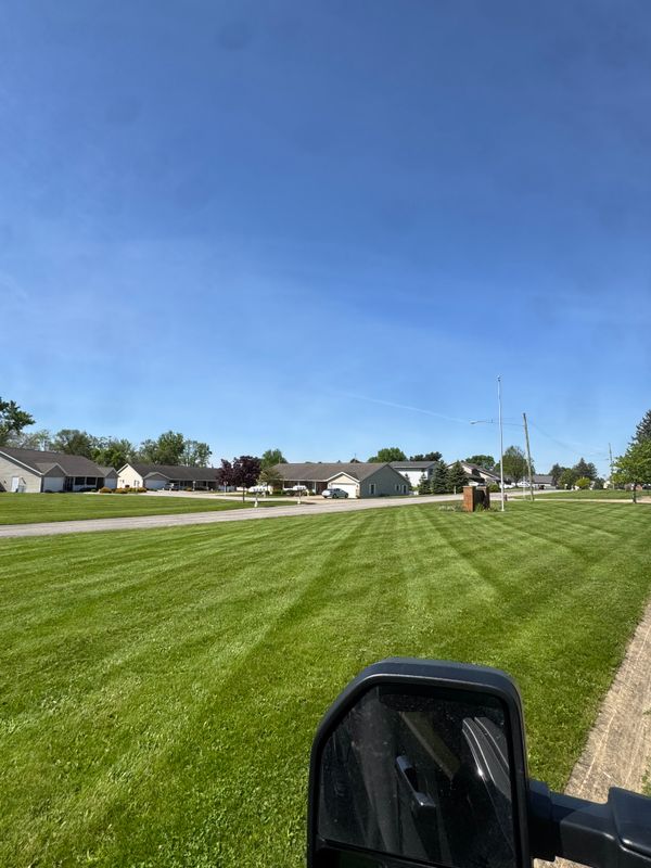 Lawn Maintenance