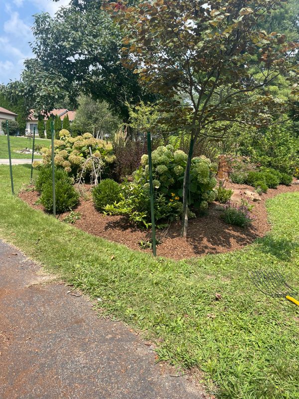 Landscape Design