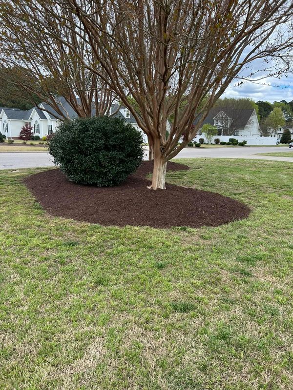 Lawn Care