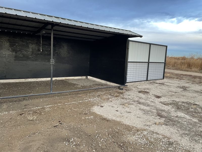 Livestock Sheds