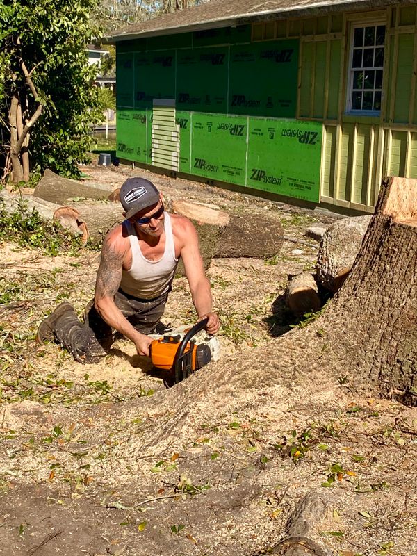 Tree Removal
