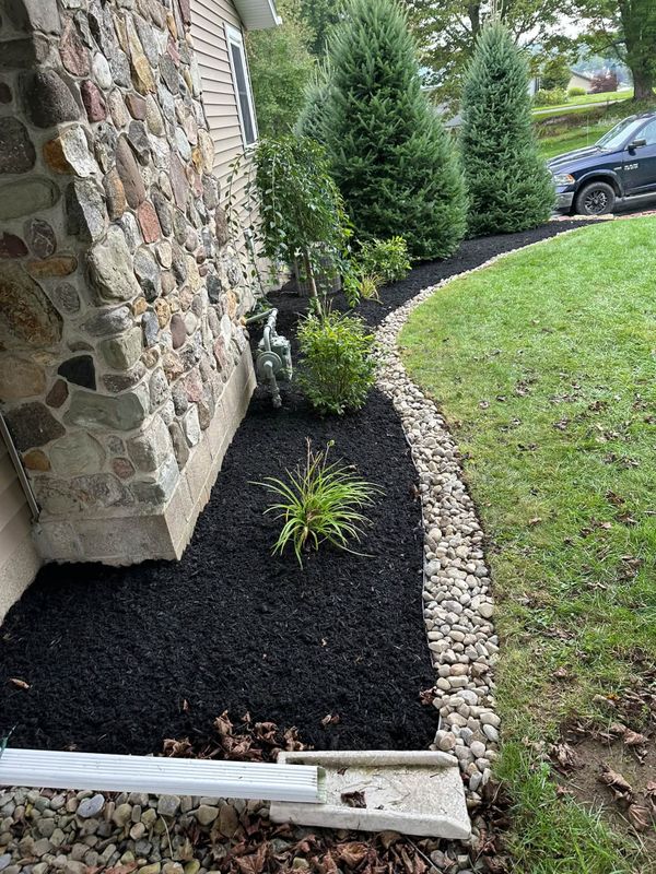 Shrub Trimming