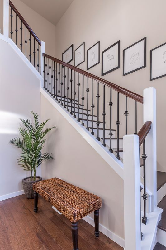 Painting Services