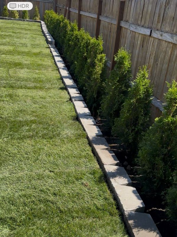 Shrub Trimming