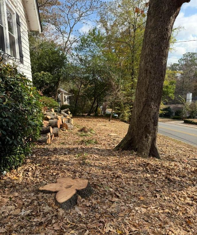 Stump Removal