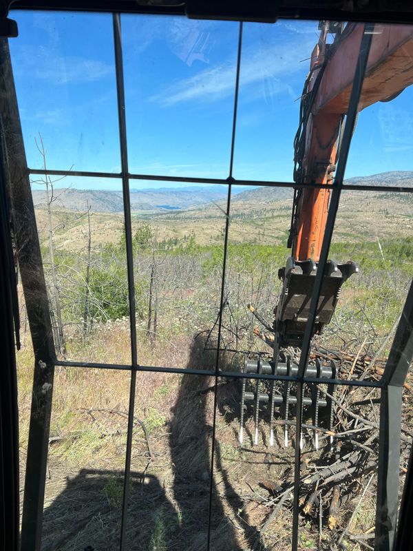 Land clearing 