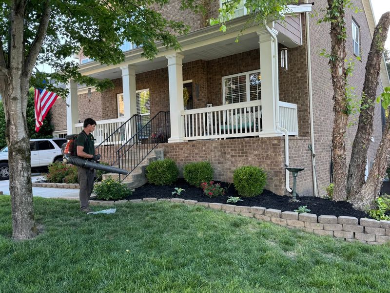 Lawn Maintenance