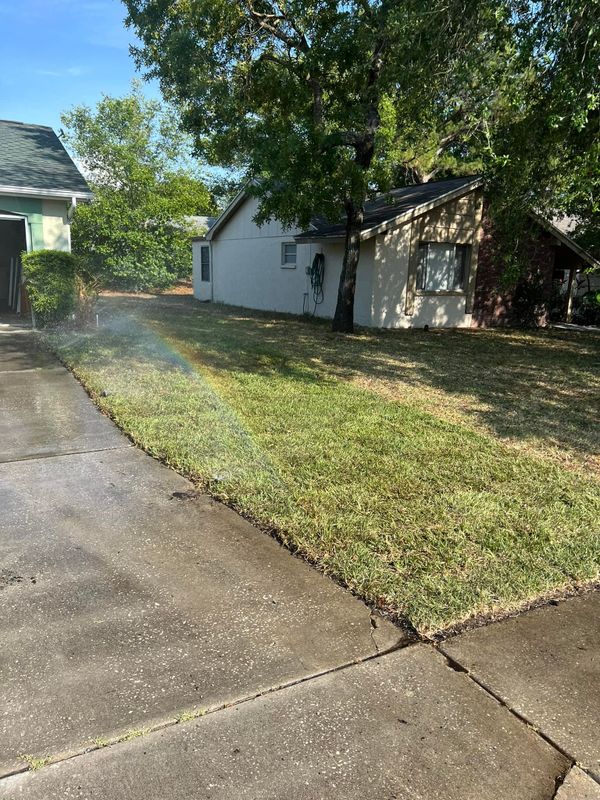 Lawn Care