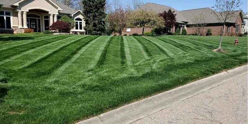 Lawn Care
