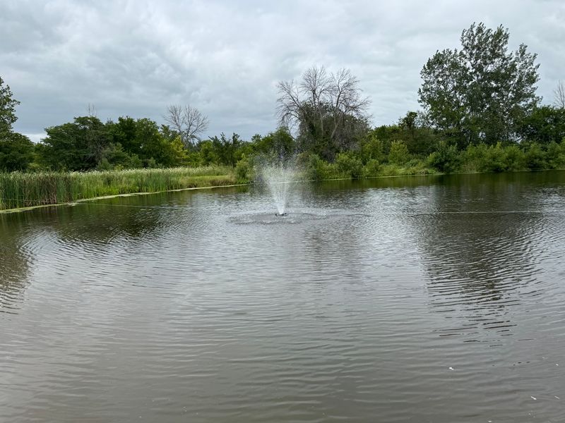 Fountain and Pond Maintenance