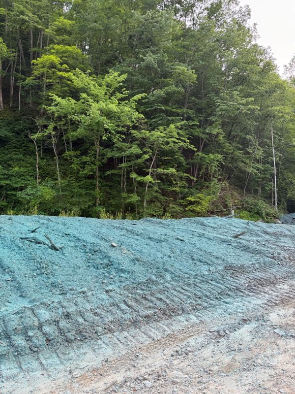 Hydroseeding 