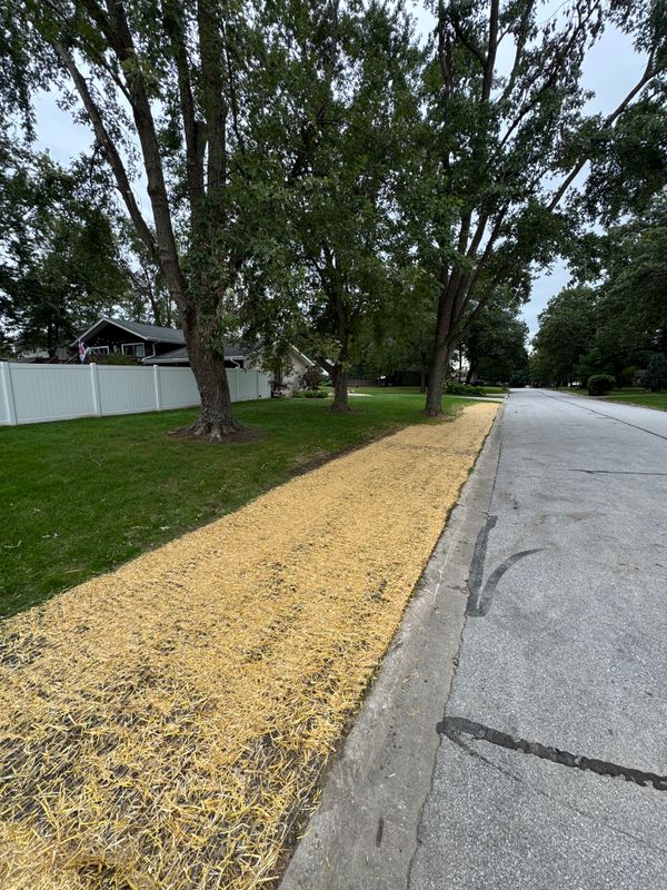 Landscape Installation