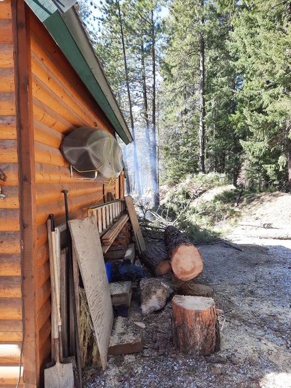 Tree Trimming and Removal