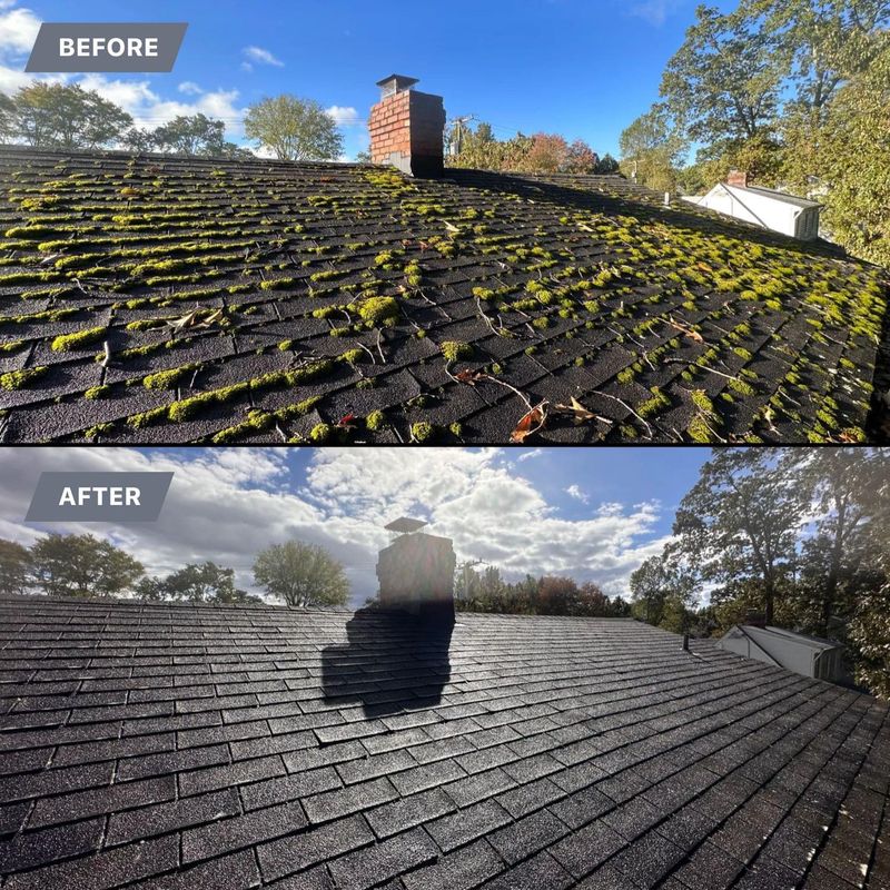 Roof Washing