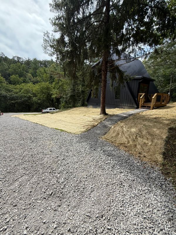 Transforming Terrain: Expert Excavation in Scenic Woodlands