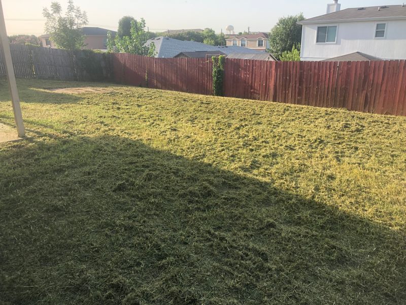 Lawncare