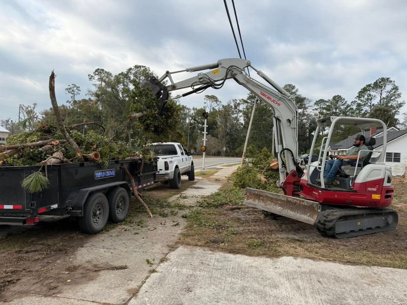Land Clearing gallery