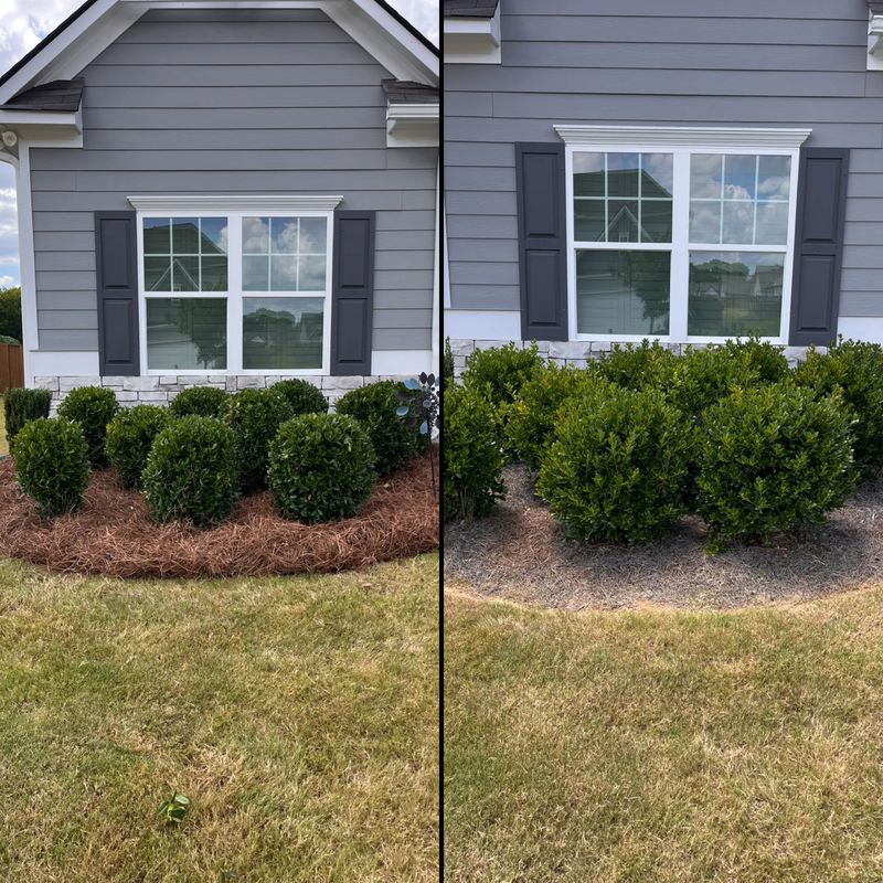 Tree & Shrub Care