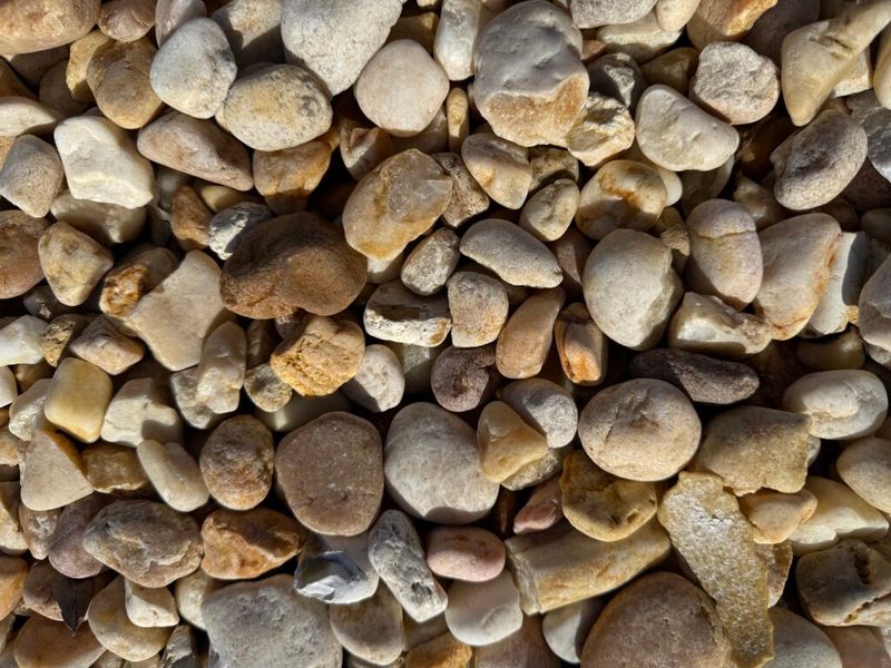 rocks