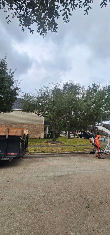 Tree Trimming