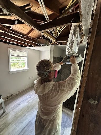 Mold Remediation