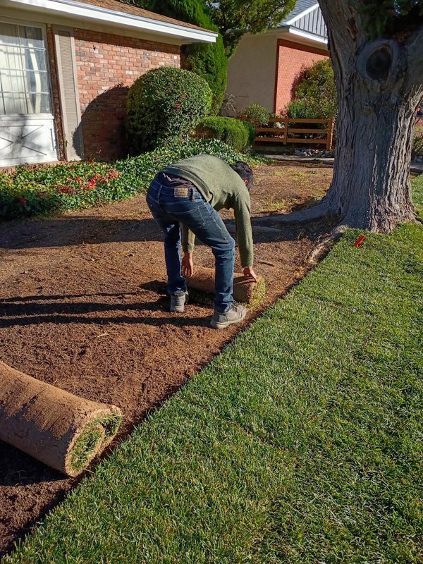Sod Installation