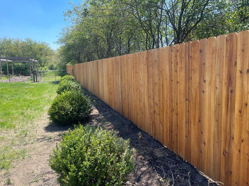 Deck & Fence Staining