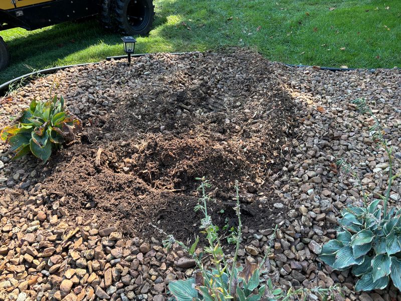 Stump Removal