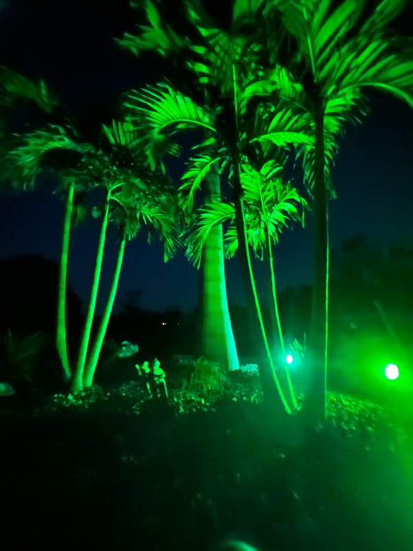 Landscape Lighting 