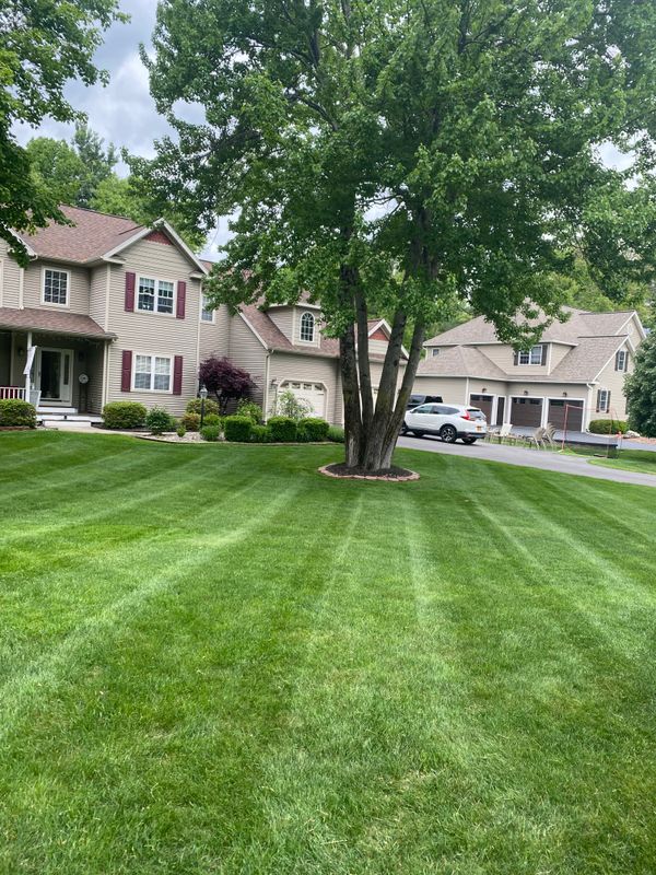 Mowing