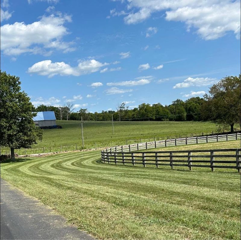 Commercial Mowing