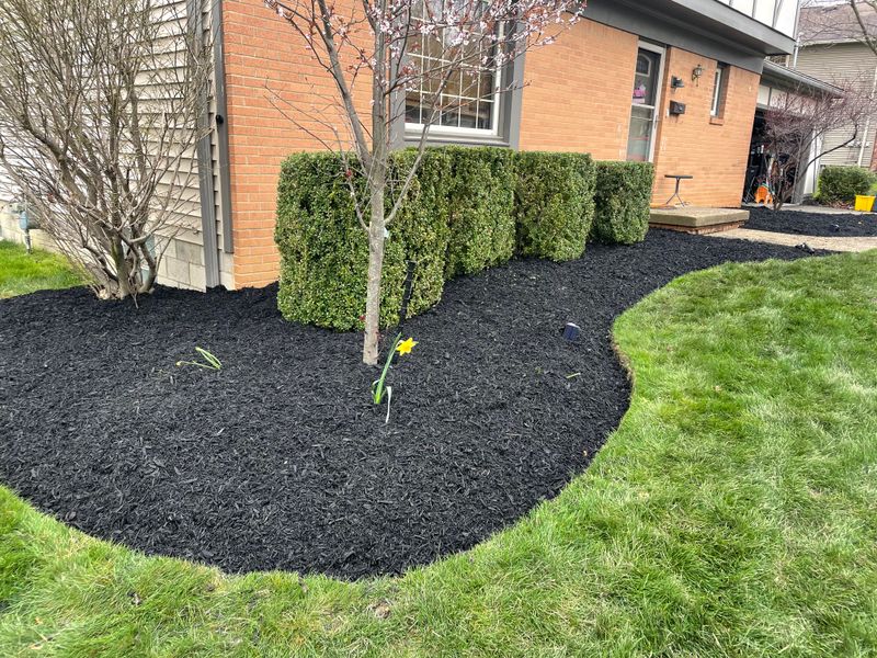 Mulch Installation
