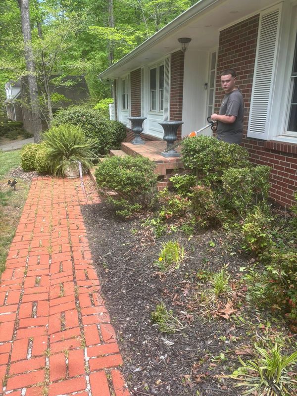 Plant & Shrub Installations