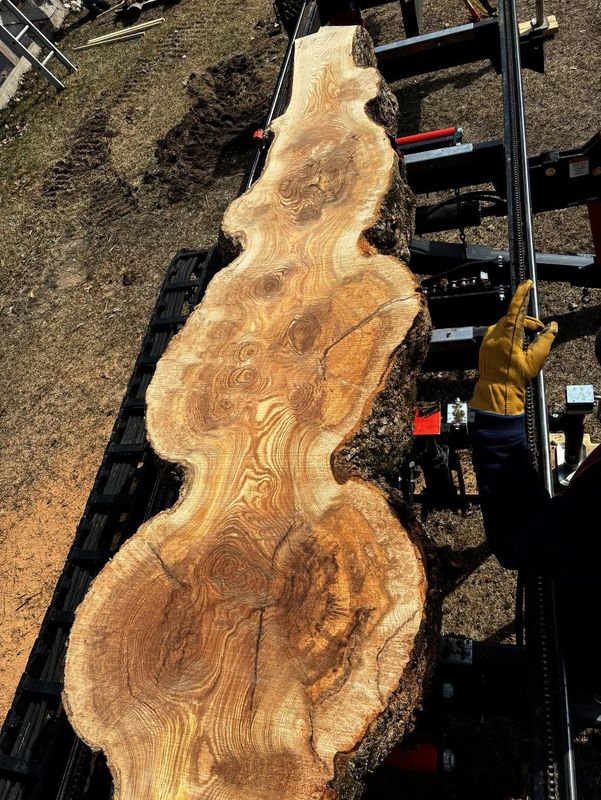 Tree Services