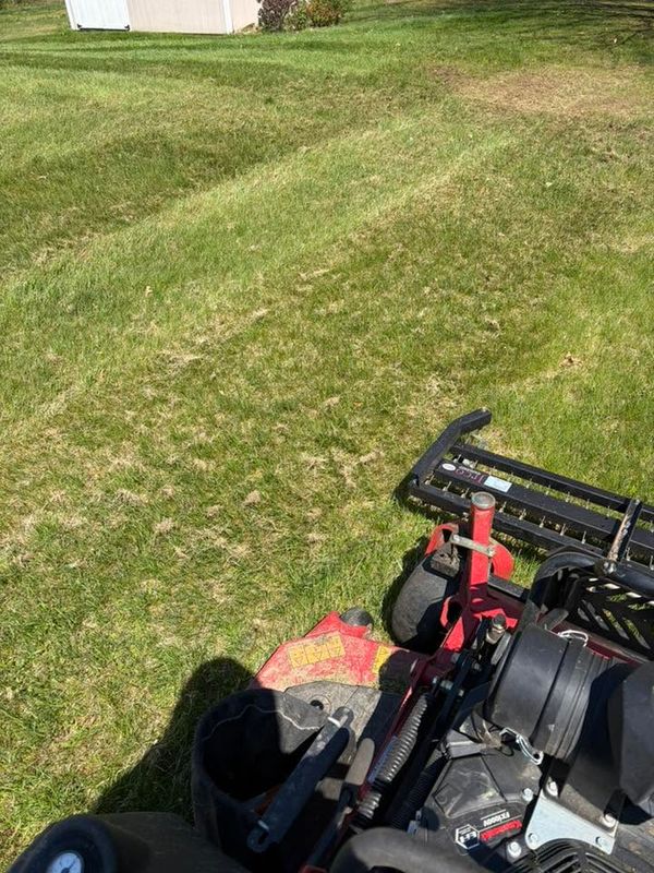 Lawn Mowing